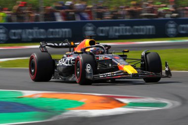  Max Verstappen (NED) Redbull Racing RB1