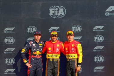  Max Verstappen (NED) Redbull Racing RB19