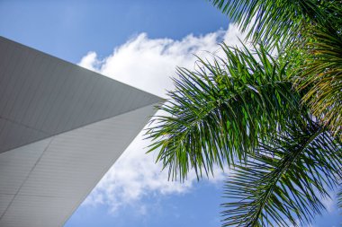 F1 Miami GP 2024 sırasında atmosferi izle