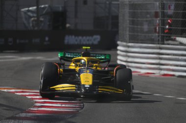 Lando Norris (GBR) - McLaren Formula 1 Takımı - McLaren MCL38