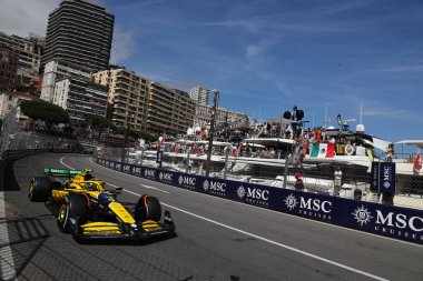 Lando Norris (GBR) - McLaren Formula 1 Takımı - McLaren MCL38