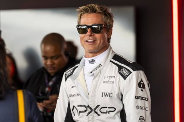  Brad Pitt (ABD) 