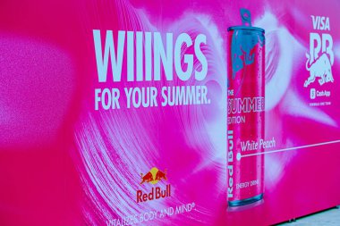 Yarış Bulls Takımı F1