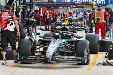  Mercedes-AMG Petronas F1 Çayı