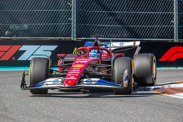 Pazar günü Miami otlağı atmosferi