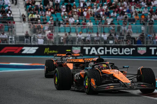 Pazar günü Miami otlağı atmosferi