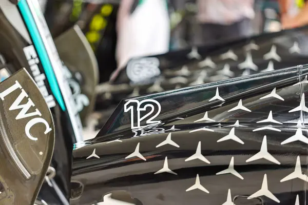  Mercedes-AMG Petronas F1 Çayı