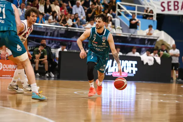 Valentini Fabio - San Bernardo 'yu Kazanmak