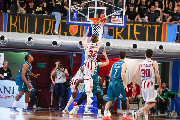 Cicchetti Alexander - Gerçek Sebastiani Riet