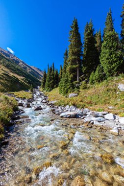 Mountain river in Almarasan gorge near Alyoshkin bridge. Asia. Kazakhstan. Almaty