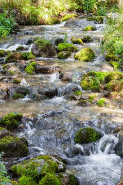 Mountain stream in the mountains of Kazakhstan. Asia. Almaty