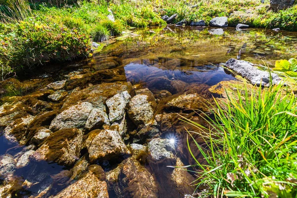 Reflection of the bright sun in the purest mountain pond. Asia. Almaty. Kazakhstan