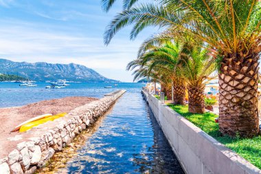 Adriyatik Denizi kıyısında. Budva sahilinin yakınındaki palmiye ağaçlı tekne iskelesi manzarası.