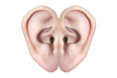 Simetrik insan kulaklarının yakın çekimi, beyaz arka planda soyut şekil pinna, kulak ve kıkırdak, insan anatomisi, aynalı kulakların detaylı izole edilmiş görüntüsü,