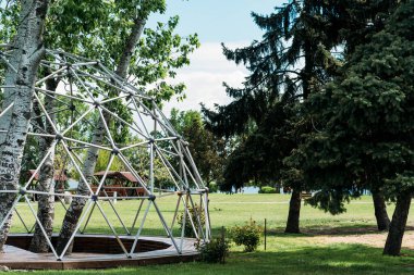 Bahar parkı huş ağaçları yeşil çimenler dinlenme günü yaz mevsimi mavi gökyüzü güneşli gün