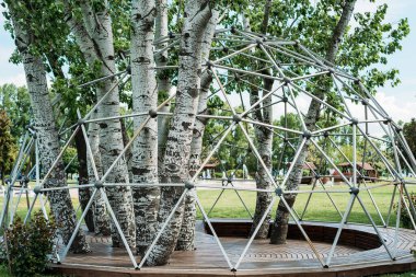 Bahar parkı huş ağaçları yeşil çimenler dinlenme günü yaz mevsimi mavi gökyüzü güneşli gün