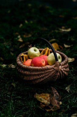 Sarı, sonbahar yapraklarında sepetteki kırmızı elmalar dışarıda, bulutlu hava, sonbahar havası, Kasım, Ekim, Cadılar Bayramı
