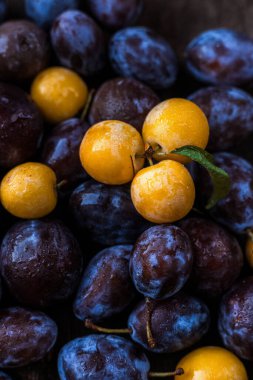 Sarı ve mavi erikler, meyveler, yaz meyveleri, sonbahar meyveleri