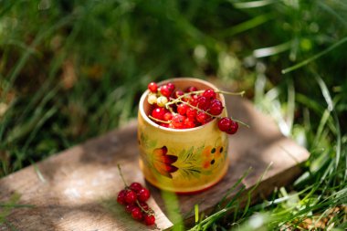 Tahta fincanda kırmızı frenk üzümü dışarıda yeşil çimlerde duruyor, yaz meyveleri.