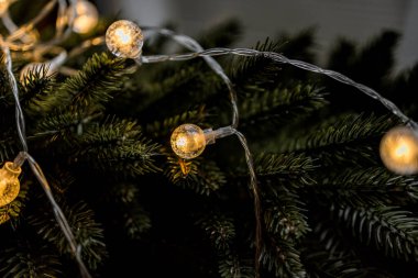 Noel ağacı ve ışıklar, kapatın -