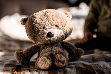 Yataktaki oyuncak ayı.