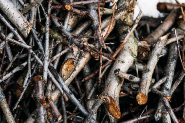 Dışarıda bir odun yığını var. Ağaç dallarını kes. Kesilmiş ağaç dalları ve açık havada istiflenmiş dallardan oluşan yoğun bir koleksiyon