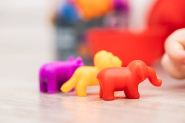 İyi motor beceriler ve mantıksal gelişim için çocuk renk ayırıcı. Erken çocuk gelişimi. Renkli hayvan figürleri. Tabaklar, figürler ve maşalardan oluşuyor. Yerde çocuk oyunları var.