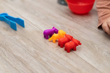 İyi motor beceriler ve mantıksal gelişim için çocuk renk ayırıcı. Erken çocuk gelişimi. Renkli hayvan figürleri. Tabaklar, figürler ve maşalardan oluşuyor. Yerde çocuk oyunları var.