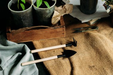 Toprakla dolu küçük, geri dönüştürülmüş bardaklardan filizlenen yavrular güneş ışığında tahta bir kutuya konur. Bardaklar birbirine yakın olarak dizilmiştir. Üst görünüm