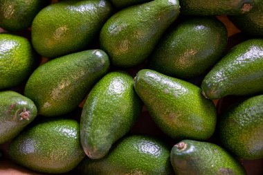 Koca bir yığın olgun avokado. Kapat, üst görünüm.