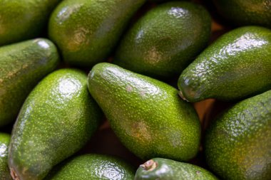 Koca bir yığın olgun avokado. Kapat, üst görünüm.