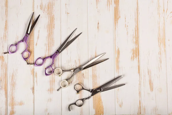 A lot of pairs of hairdressing scissors for hair cutting. Top view. Copy space