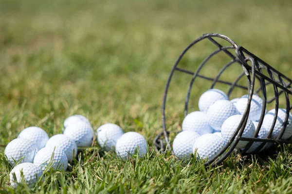 Golflabda Golfpályán Golflabda Kosárban Zöld Füvön Gyakorláshoz Sportfelszerelés — Stock Fotó