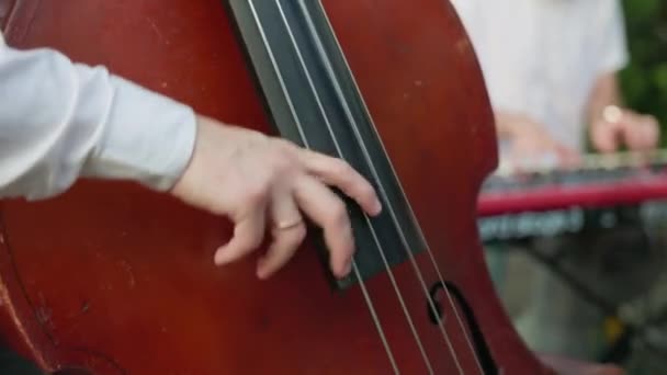 Dubbele Bas Handen Spelen Contrabassist Muziekinstrument Het Ensemble — Stockvideo