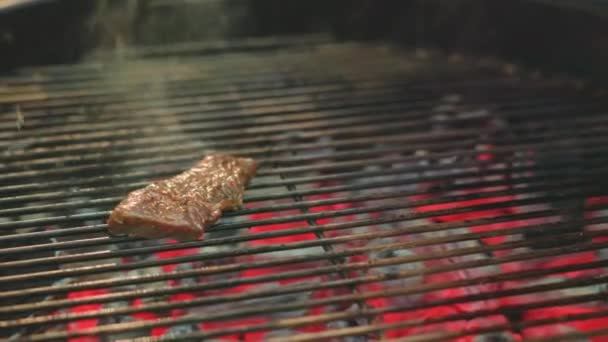 一个人的手把多汁的肉放在金属烤架上烤 放在露天篝火上做饭 夏季家庭野餐 户外食物 后续行动 — 图库视频影像