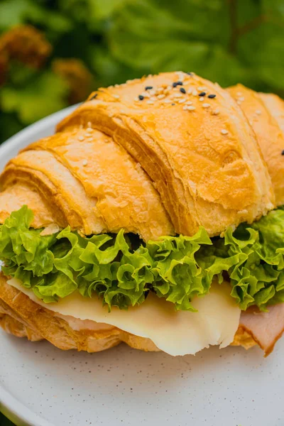Бутерброд Шинкою Сиром Круасановому Булочці Смачний Бутерброд Круасанів Відкритому Повітрі — стокове фото