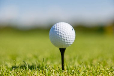 Greenfield 'da bir golf sahasında golf topu. Çimenlikte duran topu kapat.