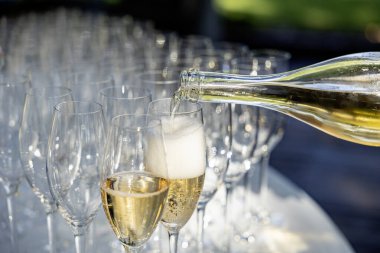 Güneşli bir günde parkın ortasında bir şişeden bardağa şampanya dökülür. yemek konsepti