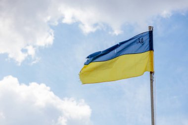 Ukrayna bayrağı. Bölünmüş Ukrayna. Bayrak direğinde Ukrayna bayrağı yırtıldı