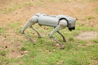 Robotik Teknolojik Köpek Robotu, Yeşil Çimlerde Yürüyen Bir Sergi Festivali, Yüksek Teknolojik Robot Köpekler, Otomatik Kontrollü, Uzun Bacaklar ve Sensörlerle