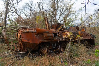 Ukrayna 'da savaş. 2022 Rus istilası Ukrayna. Kırsal kesimde. Savaştan sonra. Orman bölgesinde yanmış bir savaş aracı.