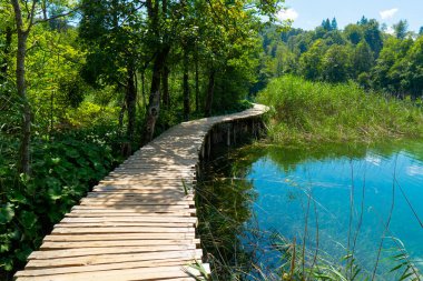 Hırvatistan. Plitvice Lakes Ulusal Parkı. Kristal turkuaz suyla göl boyunca yürüyen ahşap bir patika. Popüler turist mekanı. UNESCO Dünya Mirasları Listesi