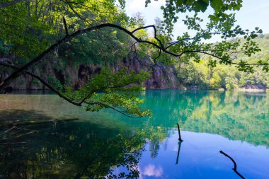 Hırvatistan. Plitvice Lakes Ulusal Parkı. Kristal berrak turkuaz su ile göl. Popüler turist mekanı. UNESCO Dünya Mirasları Listesi