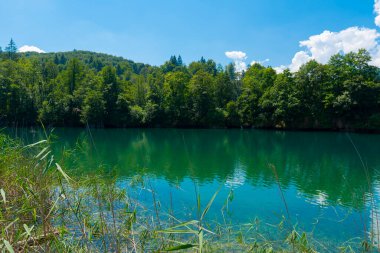 Hırvatistan. Plitvice Lakes Ulusal Parkı. Kristal berrak turkuaz su ile göl. Popüler turist mekanı. UNESCO Dünya Mirasları Listesi
