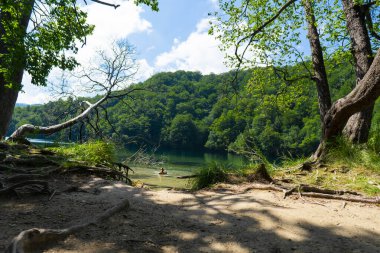 Hırvatistan. Plitvice Lakes Ulusal Parkı. Kristal berrak turkuaz su ile göl. Popüler turist mekanı. UNESCO Dünya Mirasları Listesi