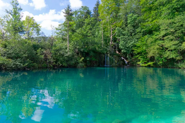 Croatie Parc National Des Lacs Plitvice Lac Eau Turquoise Cristalline — Photo