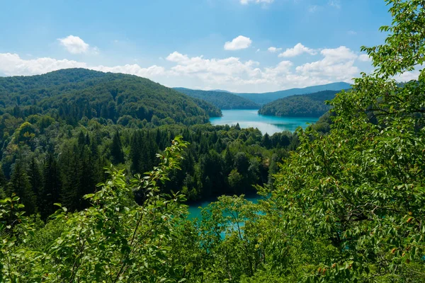 Hırvatistan. Plitvice Lakes Ulusal Parkı. Kristal berrak turkuaz su ile göl. Popüler turist mekanı. UNESCO Dünya Mirasları Listesi