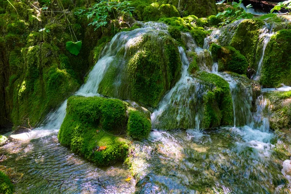 stock image Croatia. Plitvice Lakes National Park. Stream with crystal clear water. Popular tourist spot. Listed as a UNESCO World Heritage Site