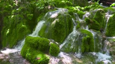 Hırvatistan. Plitvice Lakes Ulusal Parkı. Popüler turist mekanı. UNESCO Dünya Mirası Listesi 'nde. Kristal berrak suyla akarsu. Sabit Kamera