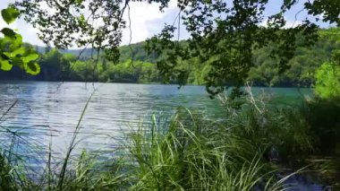 Hırvatistan. Plitvice Lakes Ulusal Parkı. Kristal berrak turkuaz su ile göl. Panorama. Kamera sağdan sola hareket eder. Popüler turist mekanı. UNESCO Dünya Mirasları Listesi